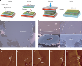 2D金属：原子レベルの製造技術で画期的成果（2D Metals: Chinese Scientists Achieve Breakthrough in Atomic Manufacturing）