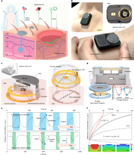 皮膚の呼吸を測定する新しいウェアラブルデバイスを開発(Your skin is breathing. This new wearable device can measure it.)
