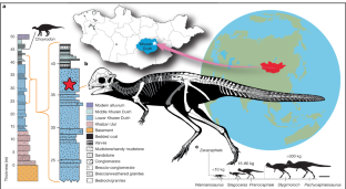 「ティーンエイジャー」のパキケファロサウルス、化石記録に登場(‘Teen’ Pachycephalosaur Butts Into Fossil Record)