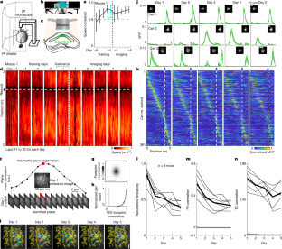 記憶は時間と共にニューロン間を移動する(Memories drift across neurons over time)