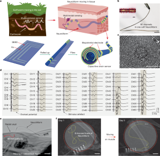 脳-コンピューター・インターフェース向け「動的」ソフト電極を初開発(Researchers Develop First “Dynamic” Soft Electrode for Brain-Computer Interfaces)