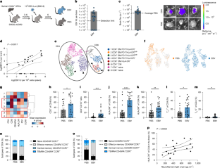 エプスタイン・バーウイルス感染とがん形成の関連を発見(UL Researcher Part of International Team to Discover How Epstein-Barr Virus Infection Can Contribute to Cancer) エプスタイン・バーウイルス感染とがん形成の関連を発見(UL Researcher Part of International Team to Discover How Epstein-Barr Virus Infection Can Contribute to Cancer)