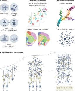 شکل ۲: روش‌های تک‌سلولی چندوجهی برای ساخت آتلان‌های جامع سلولی مغز در حال توسعه.