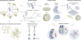 شکل ۳: تأثیر گسترده آتلان‌های سلولی مغز در حال توسعه بر کشف و ترجمه.