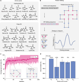 Fig. 4: HP model protein folding problem.