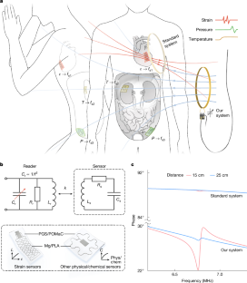長距離・広角センシング可能な生分解性ソフトインプラントの開発 (Researchers Develop Soft Biodegradable Implants for Long-distance and Wide-angle Sensing)