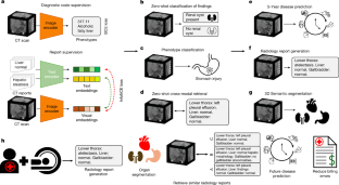 CTスキャン解析を自動化するAI技術が臨床評価を高速化する可能性（Automated CT scan analysis could fast-track clinical assessments）