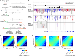 what is reduced representation bisulfite sequencing