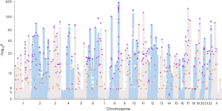 前立腺がんリスクと遺伝的祖先に関する洞察を明らかにする(Uncovering insights about prostate cancer risk and genetic ancestry)