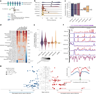 Epigenetic variation impacts individual differences in the transcriptional response to influenza infection