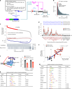 Functional dissection of human cardiac enhancers and noncoding de novo variants in congenital heart disease