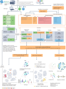 case study 4 immune system