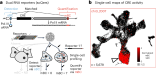 research work on dna profiling