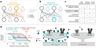 タンパク質ベースのホーミング・デバイスが標的ニューロンに薬剤を正確に送達(Protein-Based Homing Device Precisely Delivers Drugs to Target Neurons)