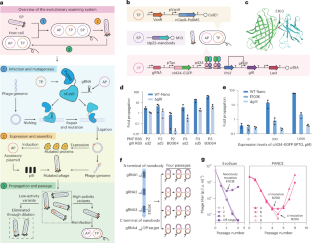 hybrid experimental method