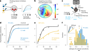 脳が視覚ノイズをどのようにフィルタリングするかを解明 (Sharper Images: How the Brain Filters Out the Noise)