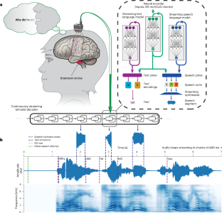 脳から音声へ:神経プロテーゼによる自然な発話回復(Brain-to-voice neuroprosthesis restores naturalistic speech)