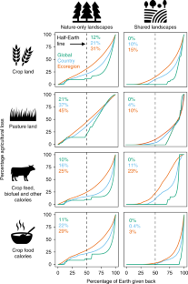 the challenge of feeding the world essay