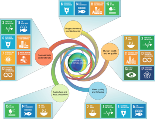 descriptive essay about reducing ozone depletion