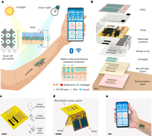 新しいウェアラブルセンサーが太陽光発電効率の記録を更新(New Wearable Sensor Sets Record for Solar Power Efficiency)