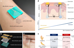 水分補給状態を測定するセンサーを開発(The sensor measures electrodermal activity to monitor hydration levels)