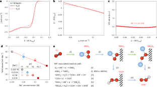 Alkali metal cations act as homogeneous cocatalysts for the oxygen ...