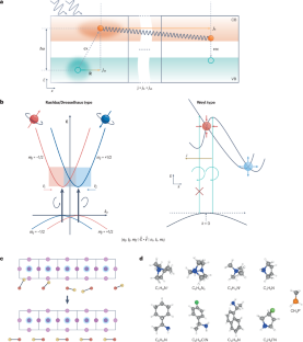 新たな半導体材料における光と物質の相互作用の展望を提示（Professor Jian Shi Shares Perspective on a Unique Light-Matter Interaction in a Promising New Class of Semiconducting Material）