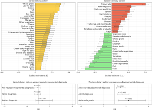 妊娠中の西洋式食生活とADHDの強い関連を発見(New Research: Strong Link Between Western Diet During Pregnancy and ADHD)