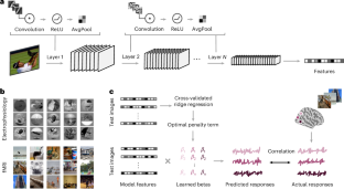 AIをより脳に近づけるための改良研究(Small changes make some AI systems more brain-like than others)