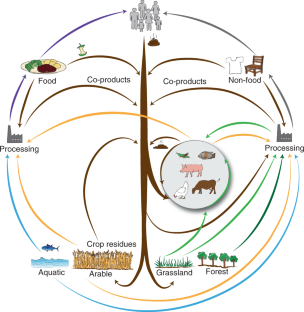 literature review bioeconomy