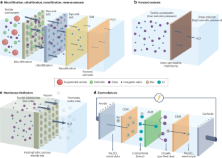 extended data figure 6