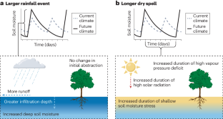 rate of photosynthesis in aquatic plants