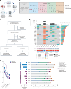 膀胱がんに対する個別化ワクチン研究の進展(Mount Sinai Study Advances Understanding of Personalized Vaccines for Bladder Cancer) 膀胱がんに対する個別化ワクチン研究の進展(Mount Sinai Study Advances Understanding of Personalized Vaccines for Bladder Cancer)