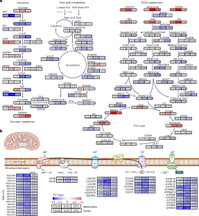 extended data figure 4