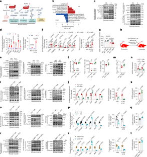 extended data figure 8