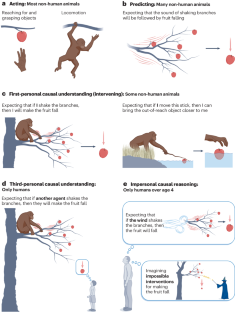 research findings about human development