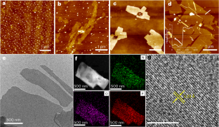 extended data figure 3