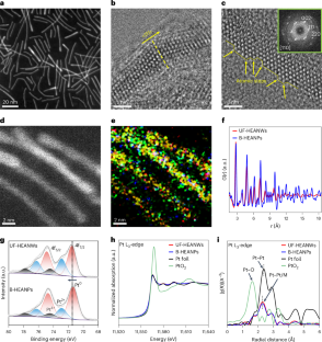 海水から直接塩素を電解合成するための高エントロピー合金ナノワイヤを開発 (High-entropy Alloy Nanowires Developed for Direct Chlorine Electrosynthesis from Seawater)