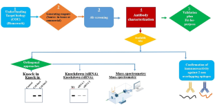 analytical research and development definition