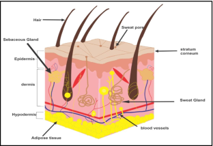 transfersomes research articles pdf