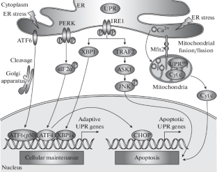 extended data figure 1