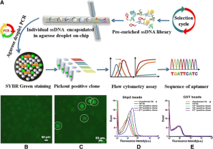 cell selex emulsion pcr cell selex emulsion pcr