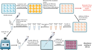 A reliable protocol for colorimetric determination of iron oxide ...