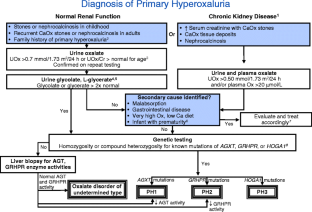 Hereditary causes of kidney stones and chronic kidney disease
