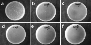 magnetic gold core shell nanoparticles price magnetic gold core shell nanoparticles price