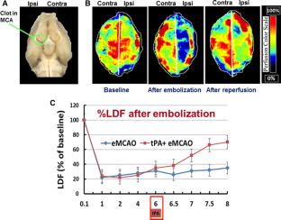 Candesartan Reduces the Hemorrhage Associated with Delayed ...