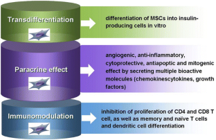 stem cell treatment for diabetes type 1 cost stem cell treatment for diabetes type 1 cost