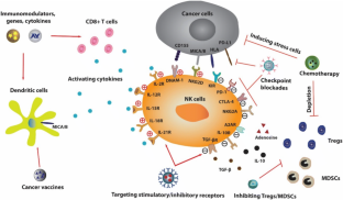 Engineered nanoparticles to enhance natural killer cell activity ...