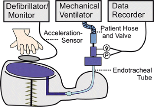Mechanical Ventilation During Resuscitation: How Manual Chest ...