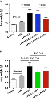 NADPH oxidase 1-dependent ROS is crucial for TLR4 signaling to promote